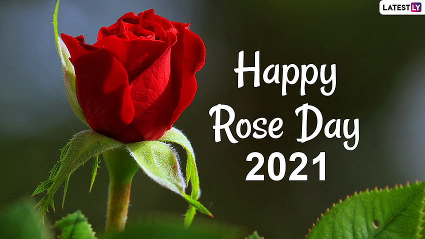 フェスティバル＆イベントニュース。 Happy Rose Day 2021 , I Love You メッセージ & オンライン用 高画質の壁紙