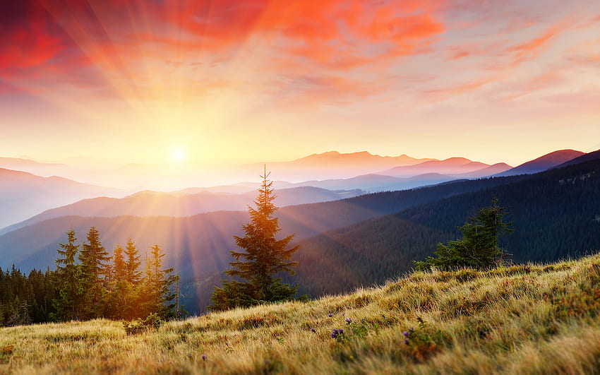 Landscape, Trees, Mountains, Sun HD wallpaper | Pxfuel