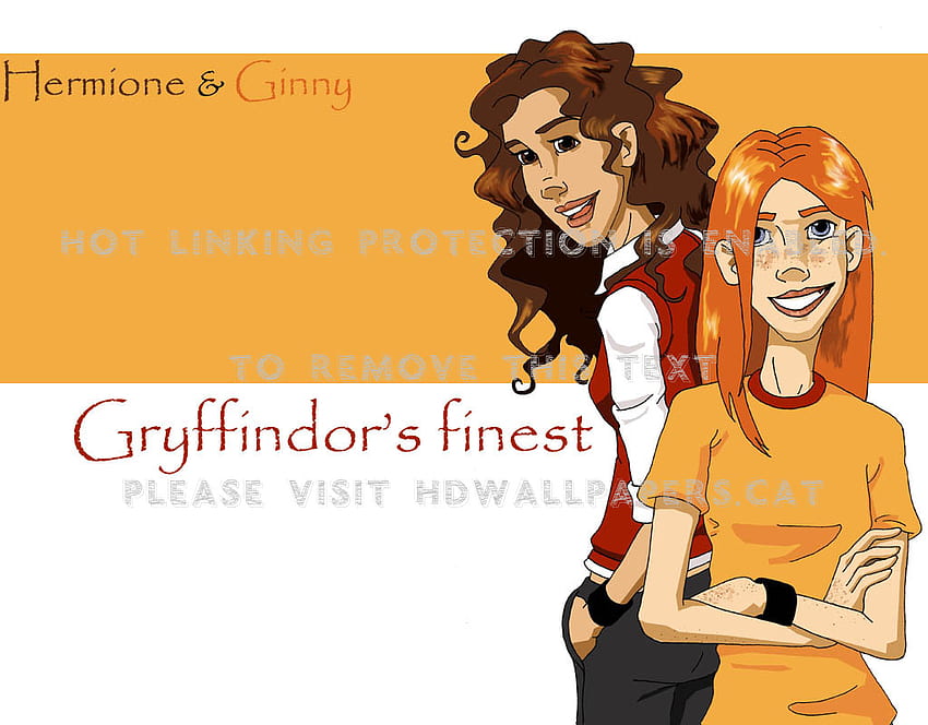 gryffindor's finest ginny weasley harry, Ginny Weasley Cartoon HD wallpaper