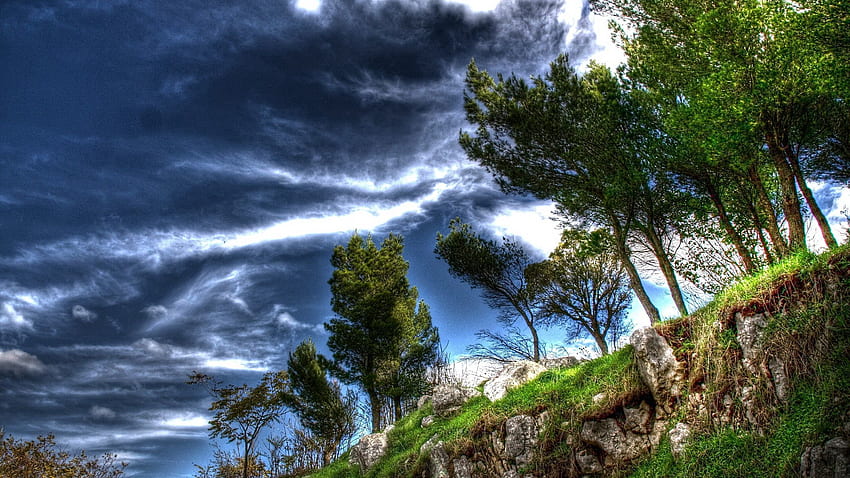 Nature, Trees, Sky, Clouds, Precipice, Break, Air HD wallpaper
