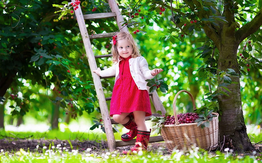 gadis kecil dan ceri, gadis, kopil, pohon, kecil, musim panas, keranjang, pink, ceri, hijau, buah, anak Wallpaper HD