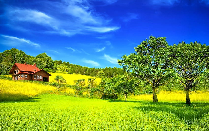 สีเขียวที่สวยงามที่สุด ธรรมชาติสีเขียว วอลล์เปเปอร์ HD