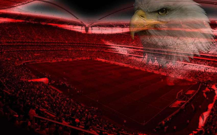 Estadio da Luz SL Benfica HD-Hintergrundbild