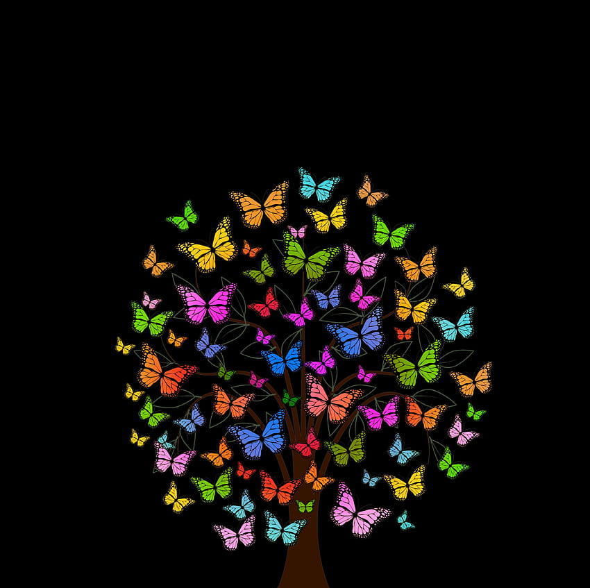 Butterflies, Patterns, Vector, Wood, Multicolored, Motley, Tree HD wallpaper