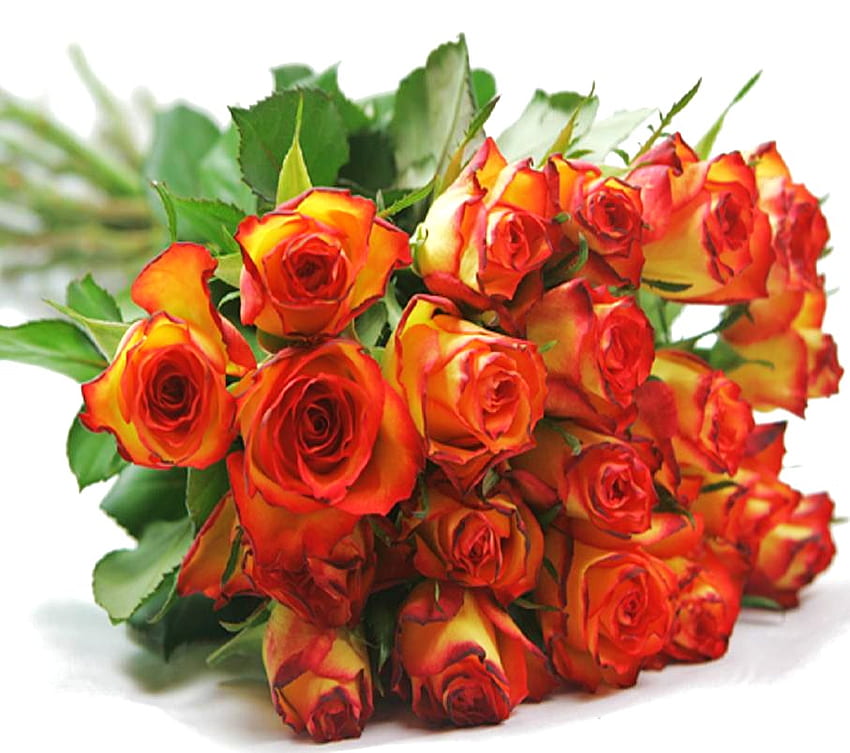 Arancio fuoco, rose, verde, fiori, mazzo, arancia Sfondo HD