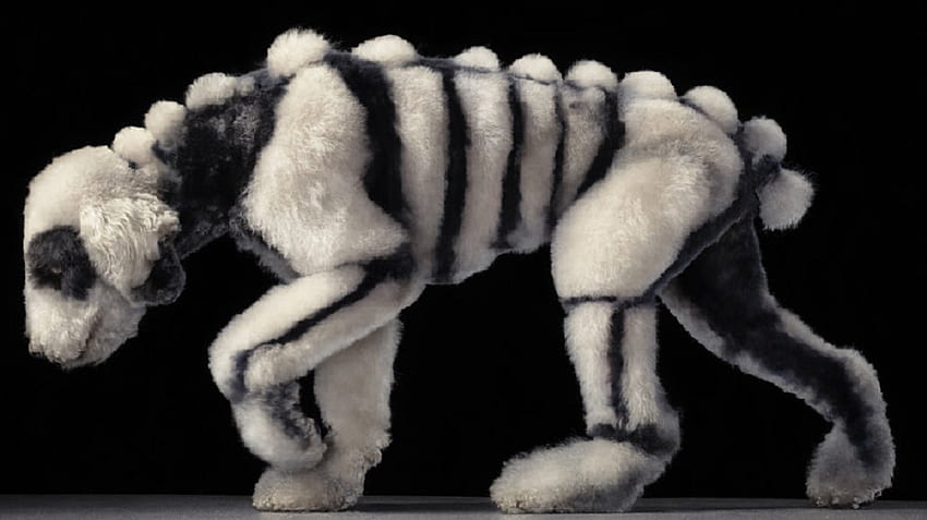 A Clip Too Far, animal, dog, canine, old english sheepdog, dog skeleton HD wallpaper