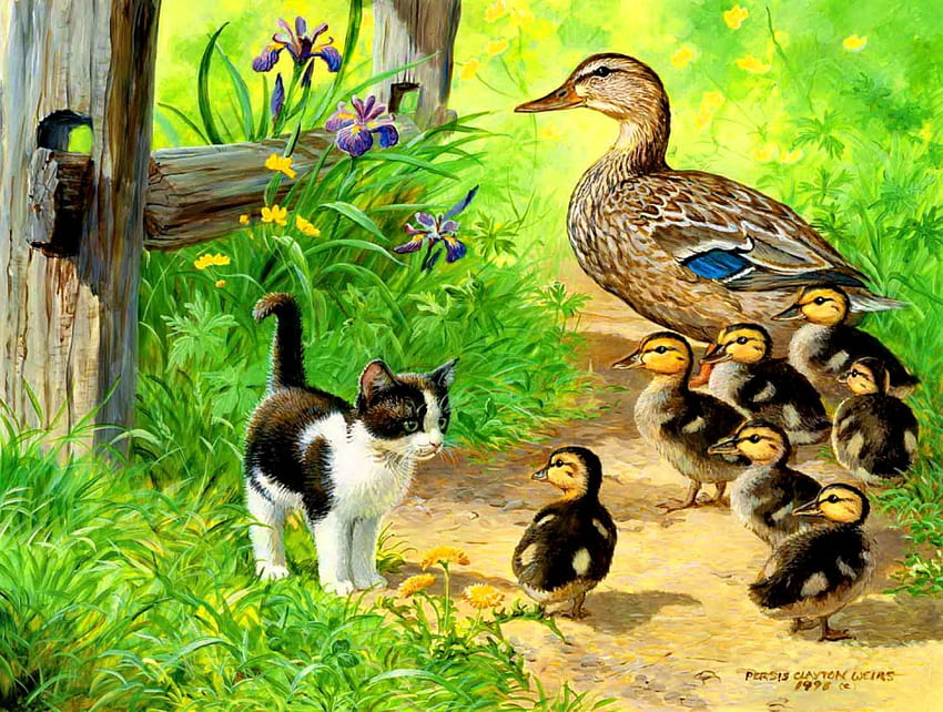 Meeting in the yard, kitten, kitty, cute, spring, nice, day, yard, painting, fence, adorable, friends, sweet, duck, cat, beautiful, fresh, fluffy, meet, summer, family, pretty, freshness, flowers, lovely, duckling HD wallpaper
