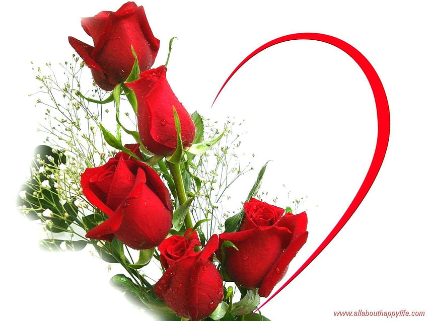 Google Play의 Red Rose Live Android 앱 1600×1200 Red Roses Pics(39 ). 빨간 장미, 사랑의 장미, 사랑의 장미 꽃 HD 월페이퍼