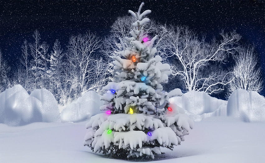 Święta, Drzewa, Śnieg, Mróz, Szron, Choinka, Girlanda Tapeta HD