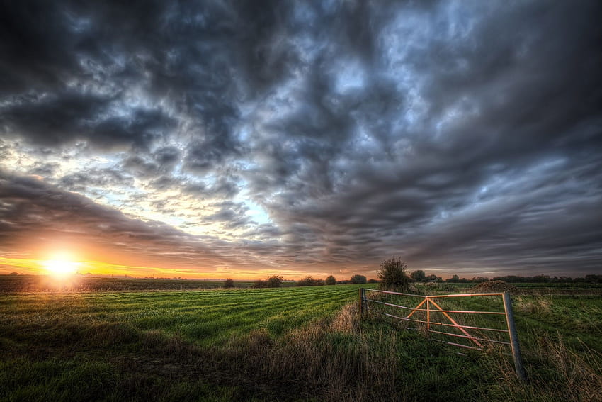 Wolken, Dunkel, Feld, Sonnenuntergang, Gras, Gelb, Grün, Tore, Blau, Natur, Landschaft / und mobiler Hintergrund HD-Hintergrundbild