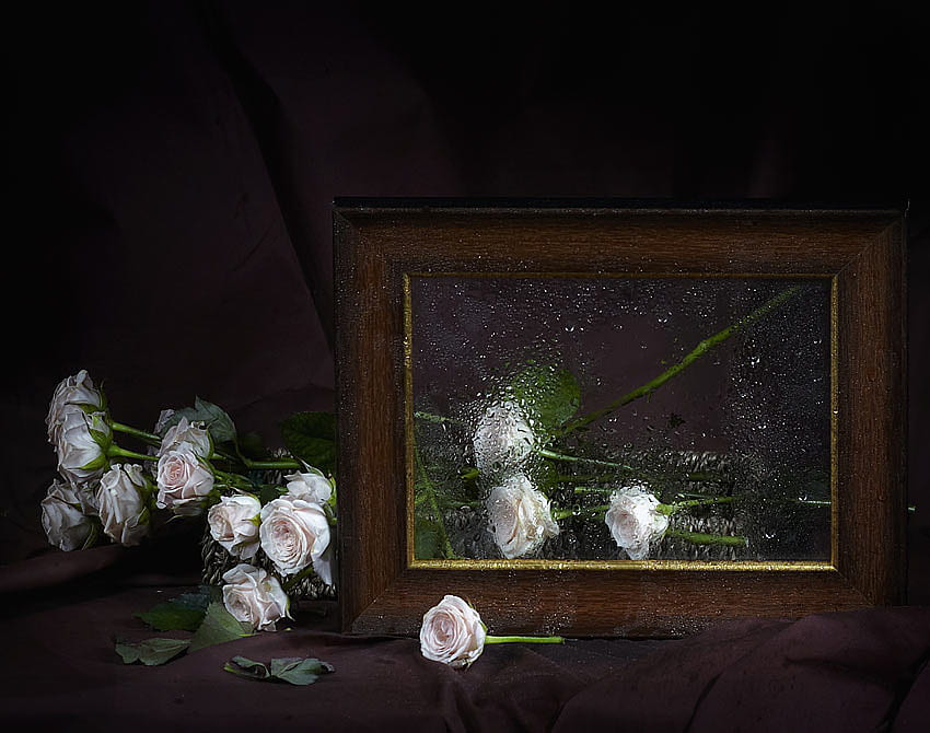 still life, graphy, roses, beautiful, nice, elegant, rose, bouquets, wet, flower, cool, flowers, , frame drops HD wallpaper