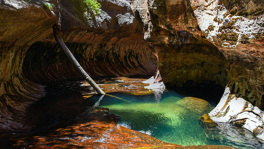 The Subway, Zion National Park, river, cave, usa, utah HD wallpaper