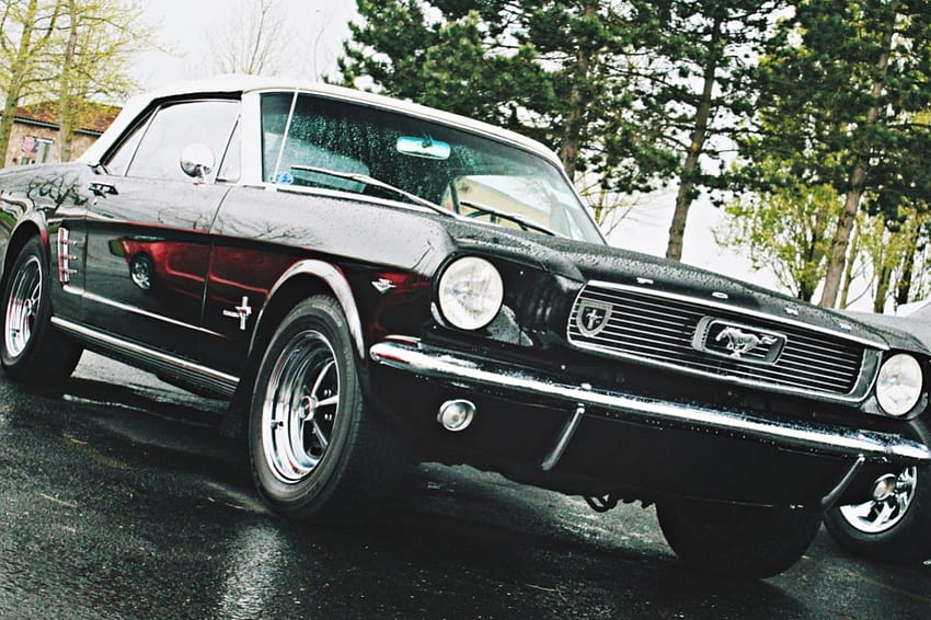 Ford Mustang, ford, classic, Muscle Car, car, mustang HD wallpaper