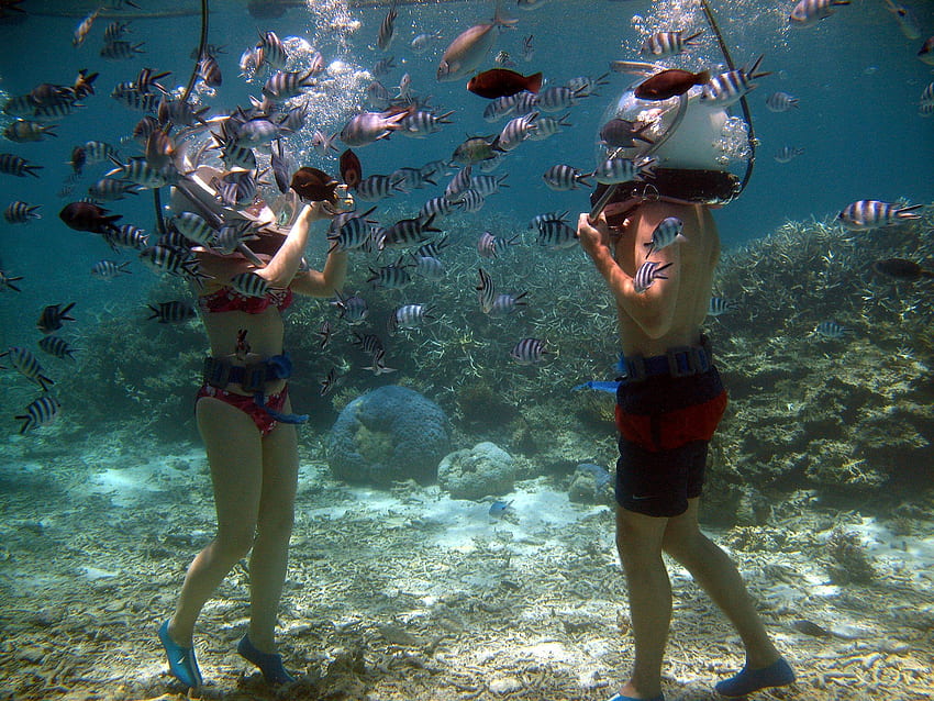 Experience Undersea Walk with us. Mauritius, Africa, Underwater Sea Walk HD wallpaper