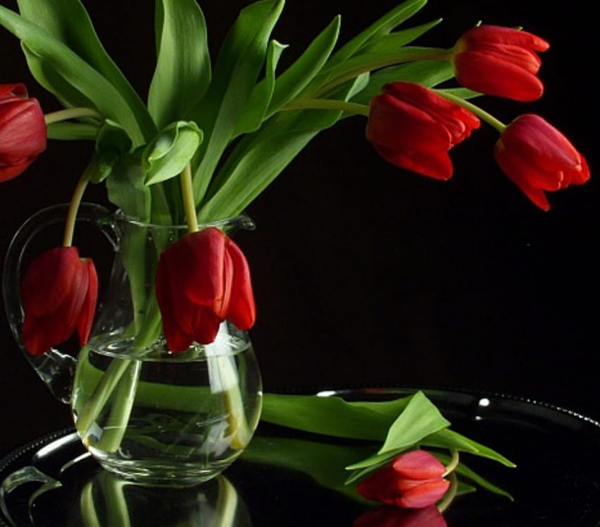 tulipan ciemny, stół, płatki, kwiat, wazon, tulipany, woda Tapeta HD