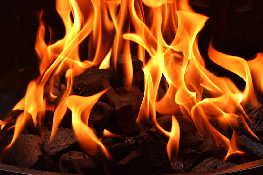 Fire, Bonfire, Flame HD wallpaper