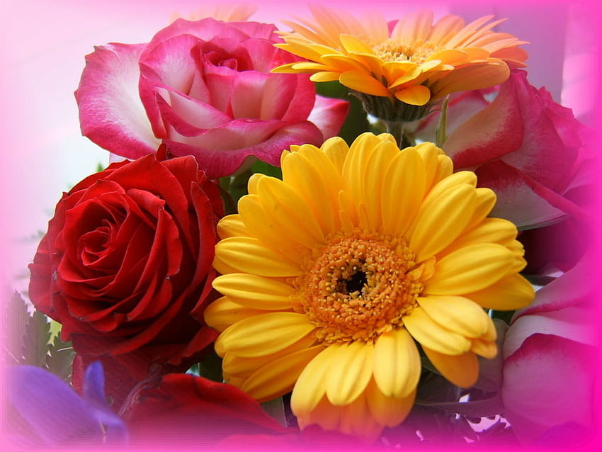 pic 17505 1024x 768. jpg, daisy yellow, rosespink, boquet, red HD wallpaper
