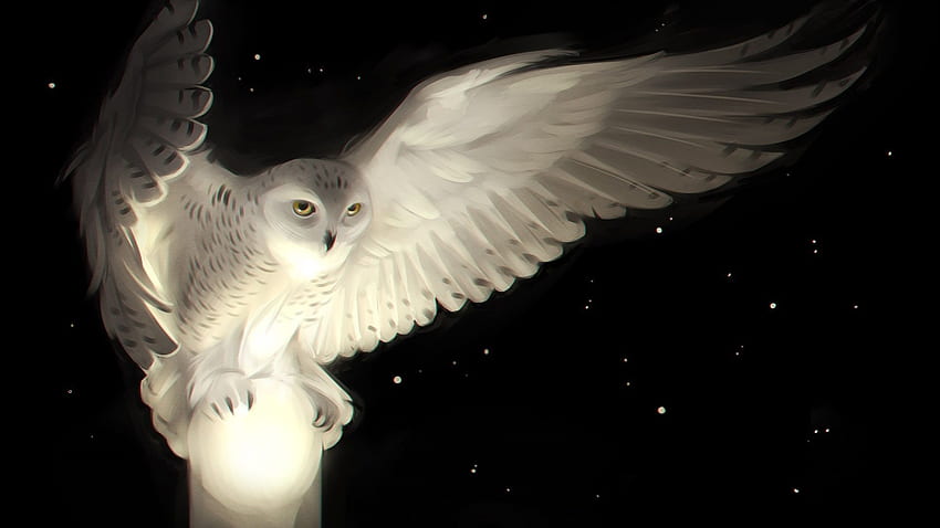 Moon Art Owl Hd Wallpaper Pxfuel