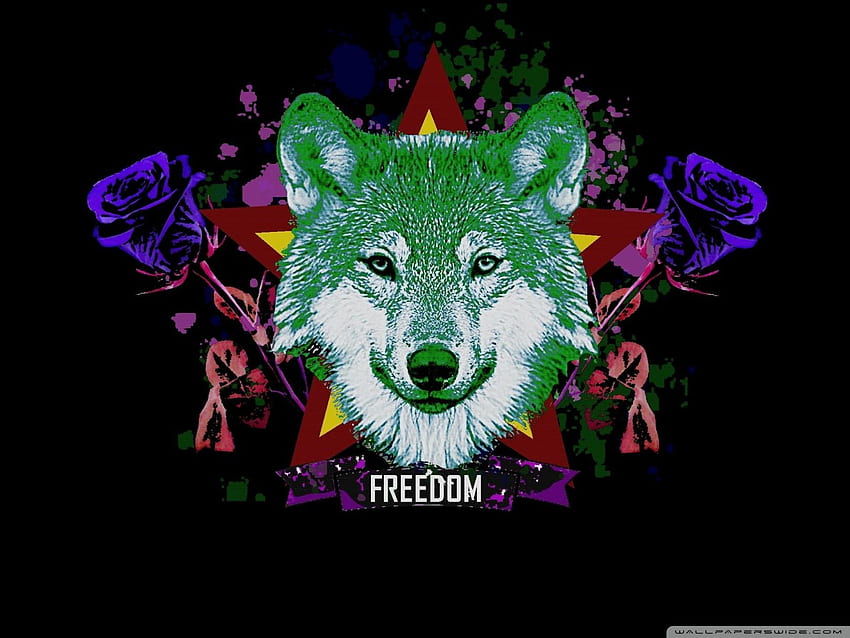 Hipster Wolf ❤ for Ultra TV, Hipster Galaxy Wolf HD wallpaper