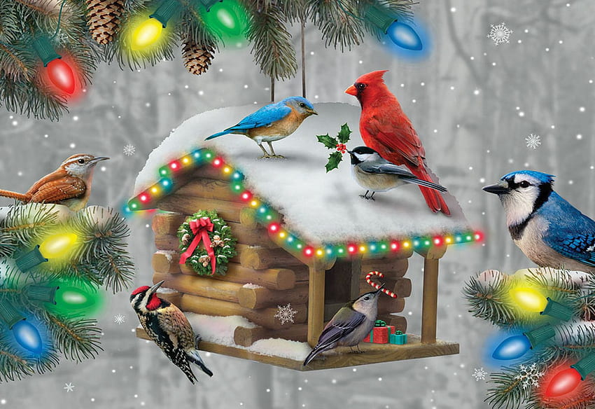 Amis à plumes festifs, oiseaux, neige, nichoir, hiver, décoration, noël Fond d'écran HD