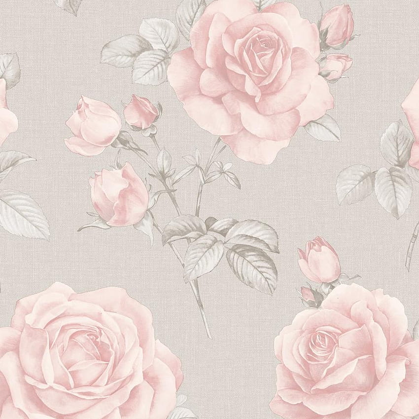 Rosa Floral Blush Pink Rose Flower on Grey HD phone wallpaper
