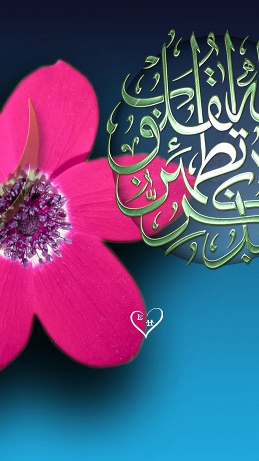 Masha Allah, Flor Rosa fondo de pantalla del teléfono