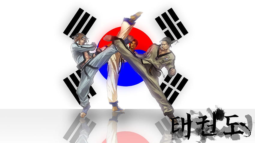 taekwondo, Taekwondo Cartoon HD wallpaper