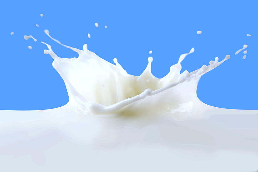 우유, 유제품 HD 월페이퍼