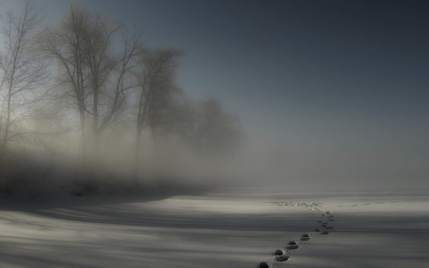 footprints in a wintry fog, winter, trees, footprints, fog HD wallpaper