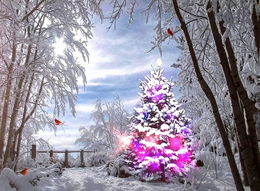 Día nevado en el bosque con cardenales, invierno, vacaciones, pájaros, bosques, vacaciones de invierno, atracciones en sueños, bosques, pinturas, amor cuatro estaciones, árbol de navidad, navidad, nieve, navidad y año nuevo, cardenales fondo de pantalla
