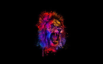 Lion on black background HD wallpapers | Pxfuel
