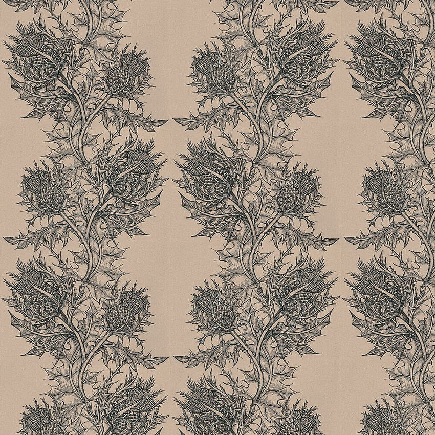 Thistle by Timorous Beasties - Black / Stone - : Direct, Black and Cream HD phone wallpaper