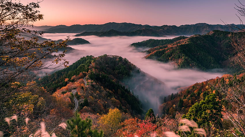 Japan, Shiga Prefecture, road, hills, trees, fog, morning U , , Japan HD wallpaper