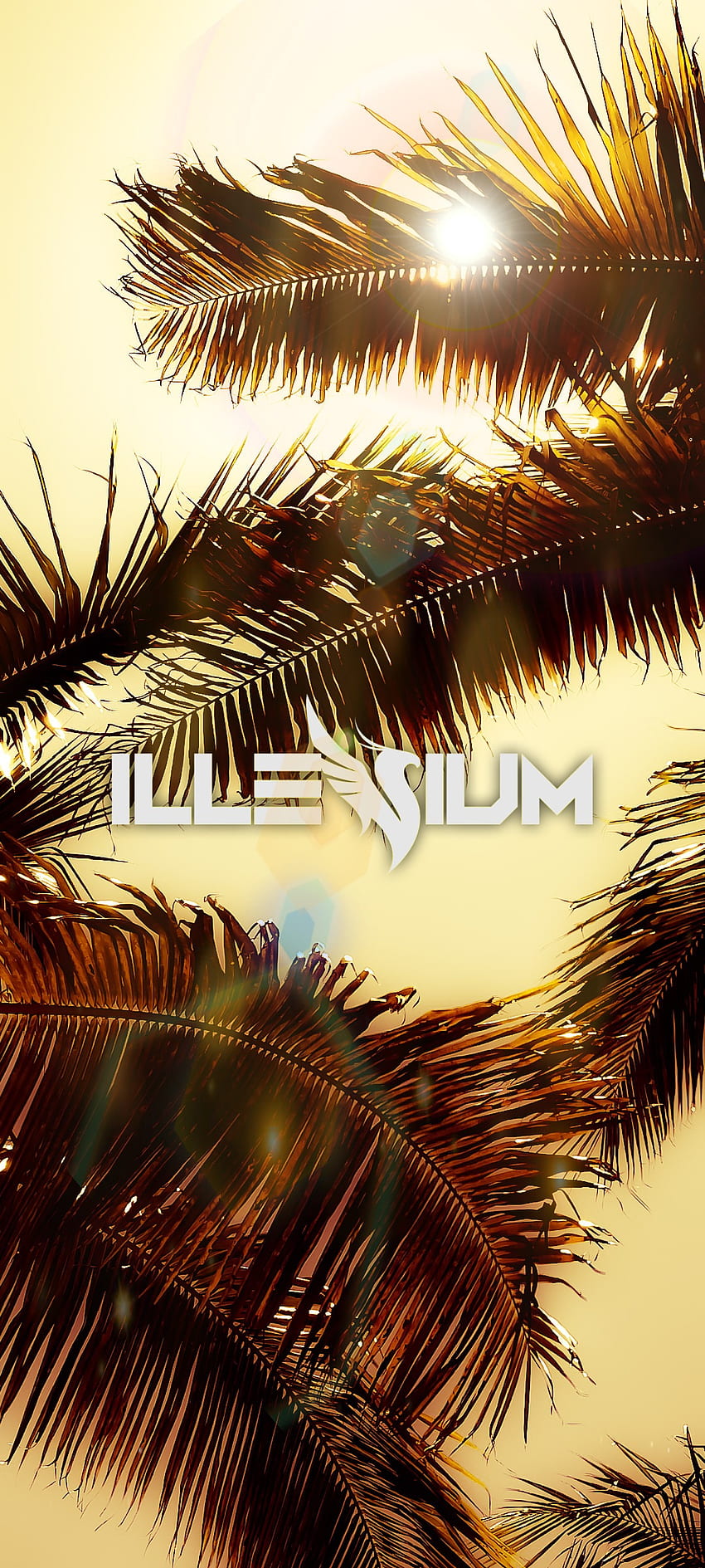 Illenium, dj, festival, tropis, edm wallpaper ponsel HD