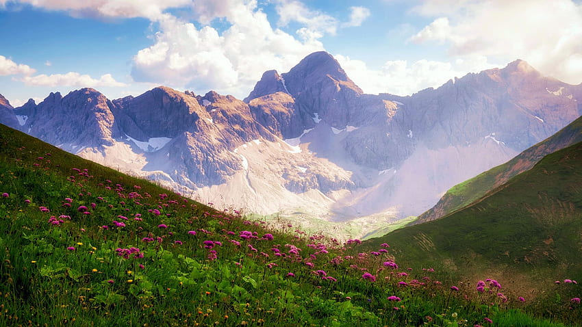 Hiking along the German-Austrian border in midsummer, clouds, flowers, sky, peak, alps HD wallpaper