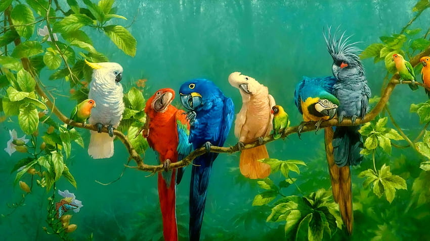Parrot, birds, art, colorful HD wallpaper