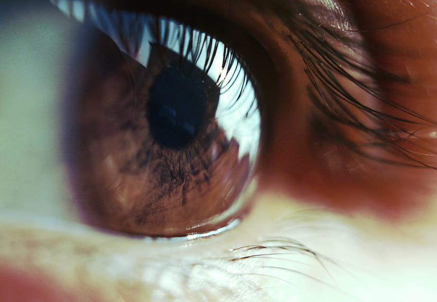 Makro, Auge, Pupille, Wimpern, Wimpern HD-Hintergrundbild