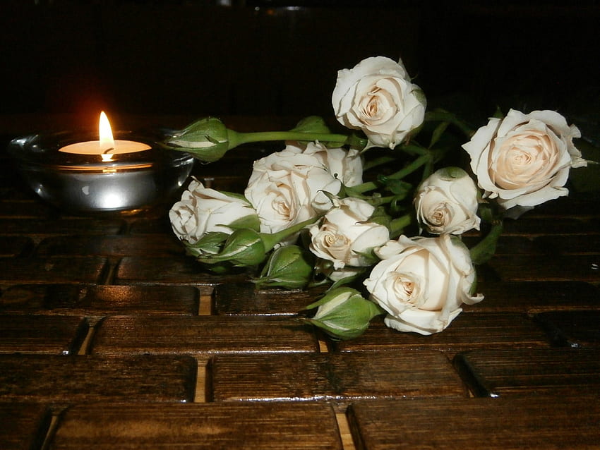 Rose und Kerze, weiße Rose, Kerzenlicht, Kerze, Rose HD-Hintergrundbild