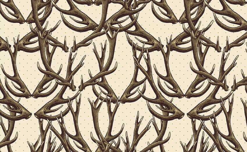 Deer Antlers for Walls, Disorder HD wallpaper | Pxfuel