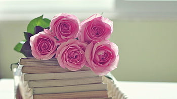 Hấp dẫn và lãng mạn, hình ảnh hoa hồng hồng sẽ khiến bạn thấy yêu đời hơn bao giờ hết. Hãy đến xem và trải nghiệm cùng chúng tôi ngay bây giờ.