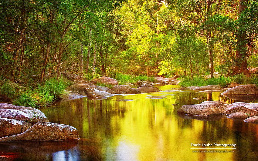 Queensland, Australien, schöne Landschaft, Windows 8-Design HD-Hintergrundbild