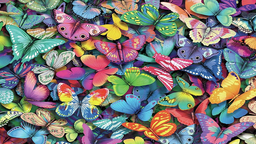 Butterfly Background Src Cool Butterfly - Colorful Puzzles - -, Spring Butterfly HD wallpaper