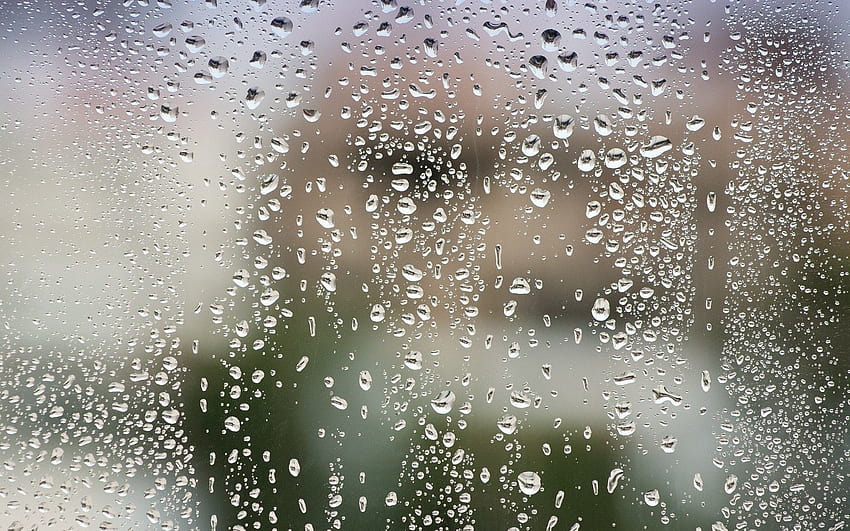 Wasser, Tropfen, Makro, Glas, nach dem Regen HD-Hintergrundbild