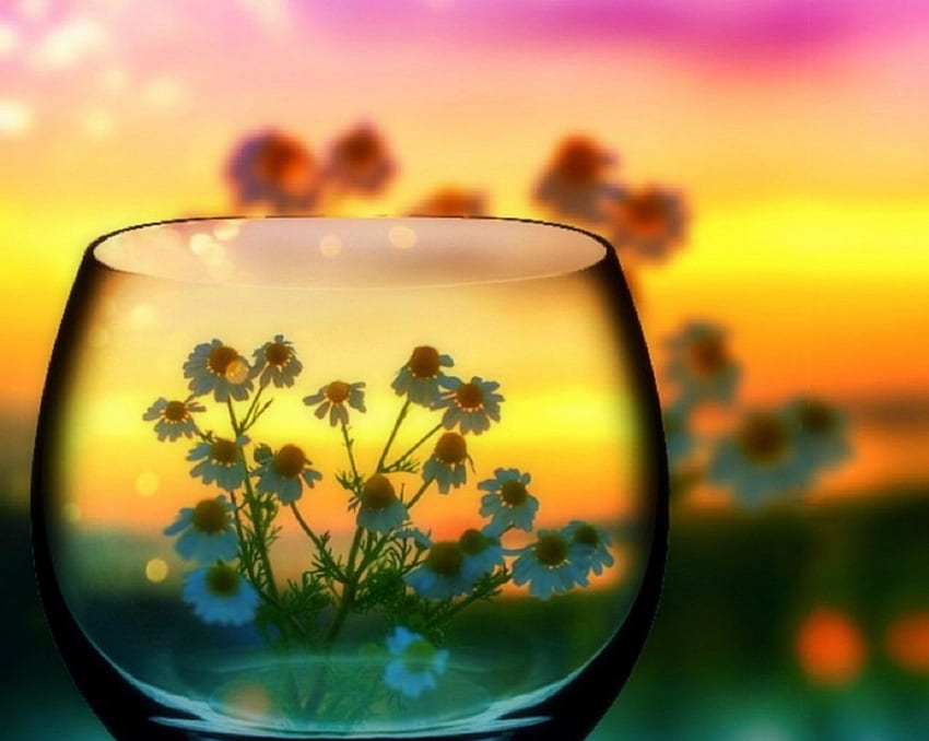 Little Flowers in Glass, sunsets, attractions in dreams, beauty of nature, colors, lovely flowers, reflections, creative pre-made, summer, love four seasons, glass, nature, flowers HD wallpaper