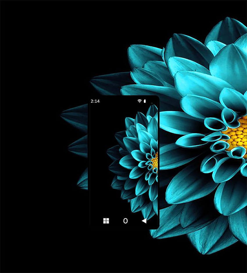 AMOLED & for Android, AMOLED Flower HD phone wallpaper