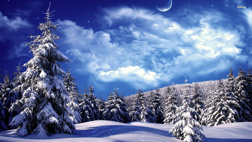 Best Of Ultra Winter Wonderland, Magical Winter HD wallpaper
