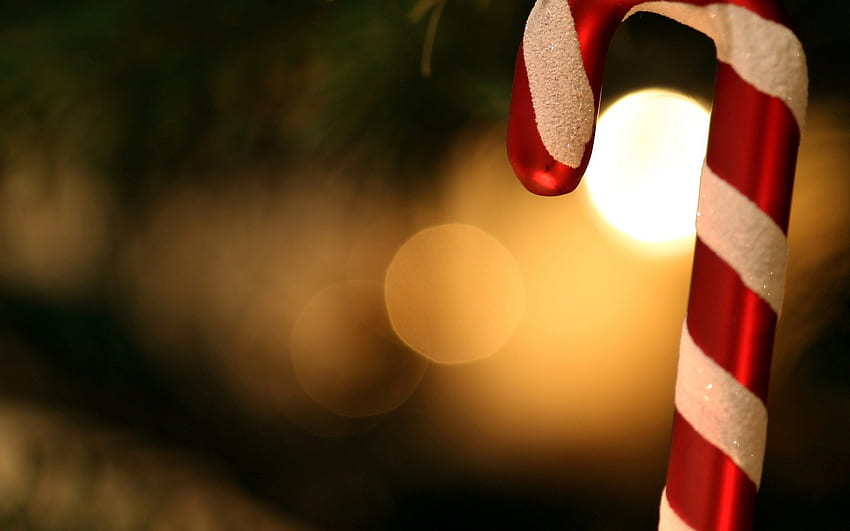 Noël, cloche, décorations de Noël, étoiles, joyeuses fêtes, cloche de Noël, décoration de Noël, Noël magique, arc, boules de noel, joyeux Noël, boule orange, boule de Noël, ruban, cloches, décoration, cadeaux de Noël, joli, cloches de Noël, boule , charmant, vacances, graphie, réveillon de Noël, ballon d'or, cadeau, beauté, Noël, vacances, nouvel An, d'or, cadeau de Noël, la magie, beau, des balles, bonne année, boules rouges, boîte, Décorations, boules d'or Fond d'écran HD