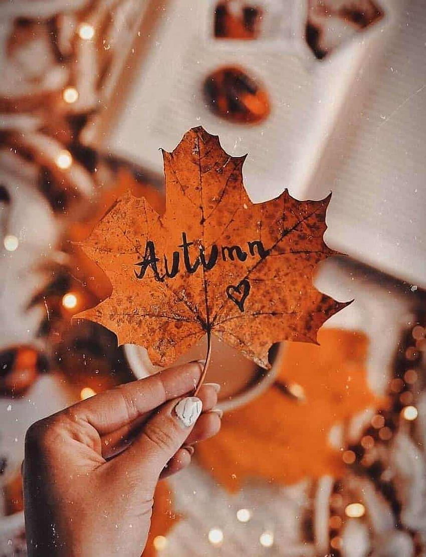 Fall For iPhone - Sure To Have You Feeling The Autumn Season - Emerlyn Closet, Autumn Weather HD phone wallpaper