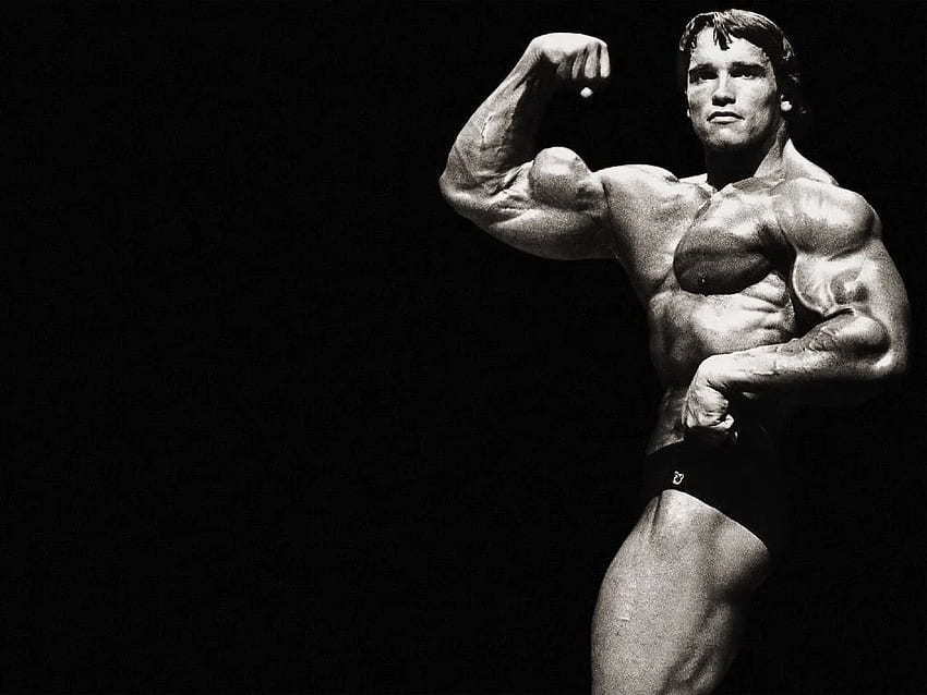 Kulturystyka Arnolda Schwarzeneggera 1280×1024 Tapeta HD