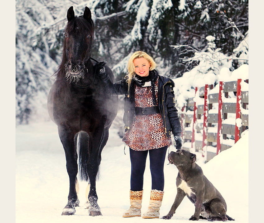 Winter friends, dog, winter, white, blond, cold, woman, snow, black horse, friends HD wallpaper